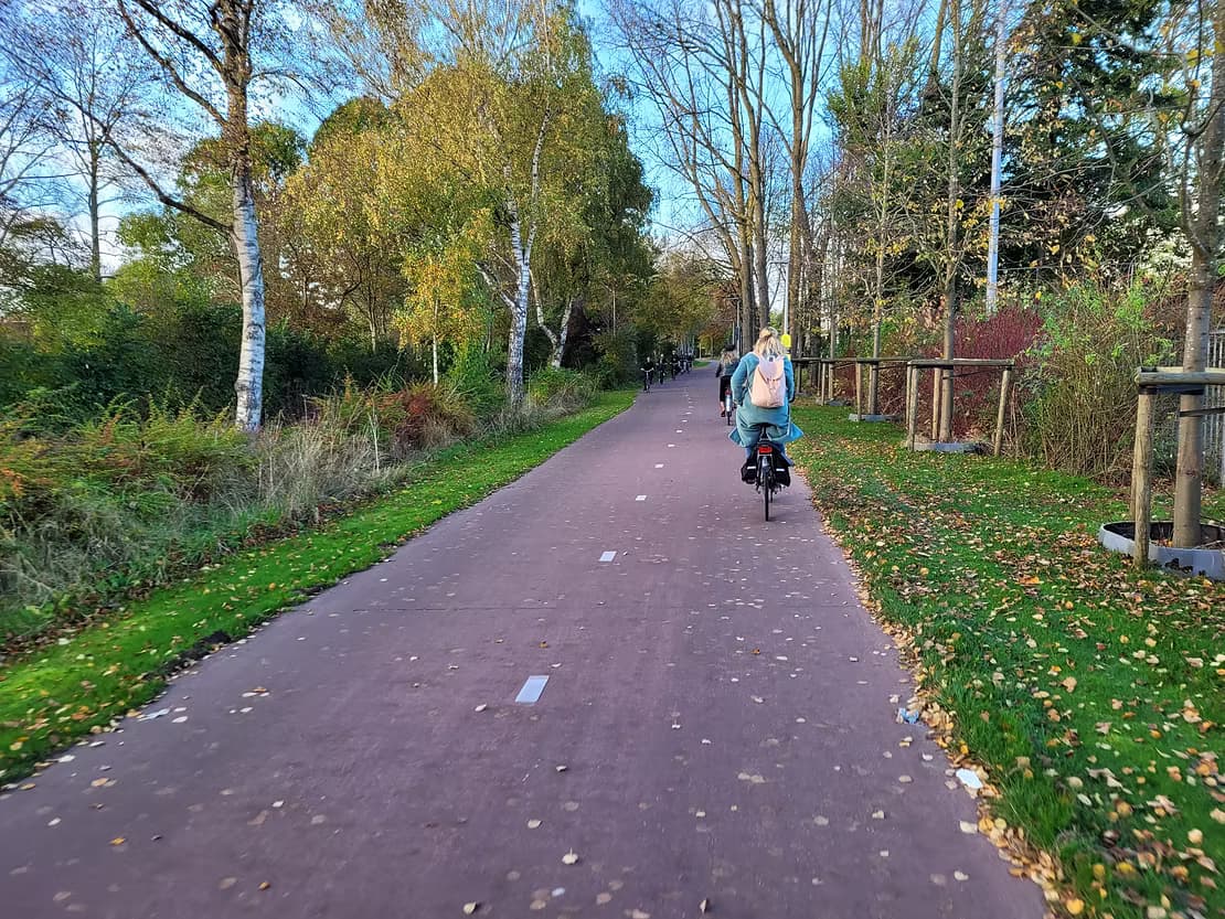 Students cycling to Zernike in Groningen